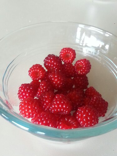 wineberries.jpg Dish of Japanese wineberries