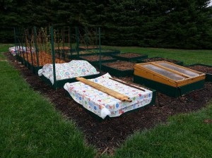 Best. Dressed. Garden. EVER.