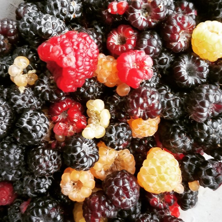 Mangled berries are still edible! 