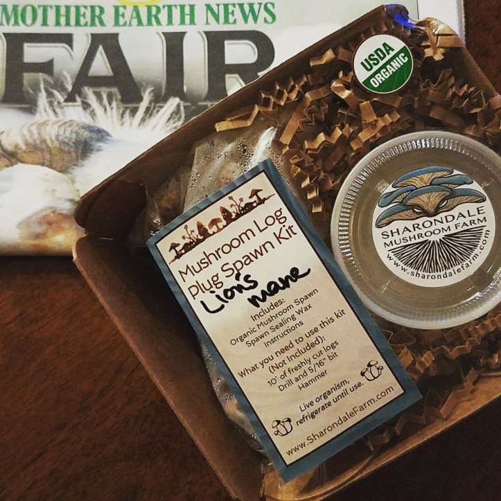 Lion's Mane Mushroom Log Plug Spawn Kit