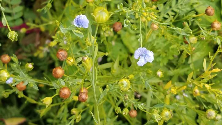 So Beautiful, So Unwanted