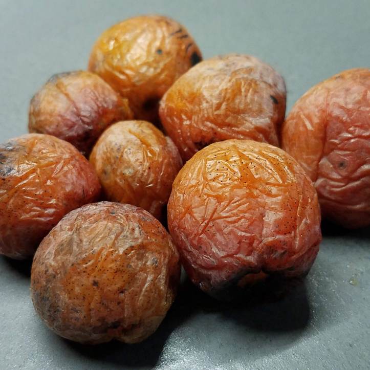 Ripe persimmons... aren't they lovely?