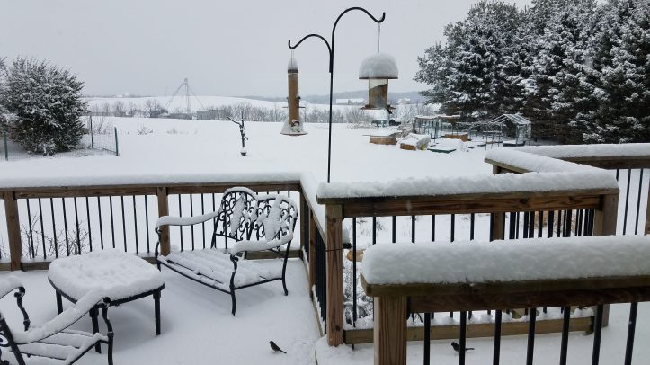 Yay, snow! First snow of 2019.