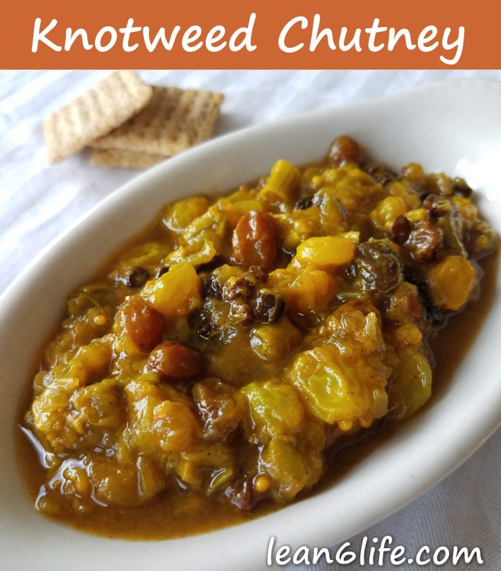 Japanese Knotweed Chutney