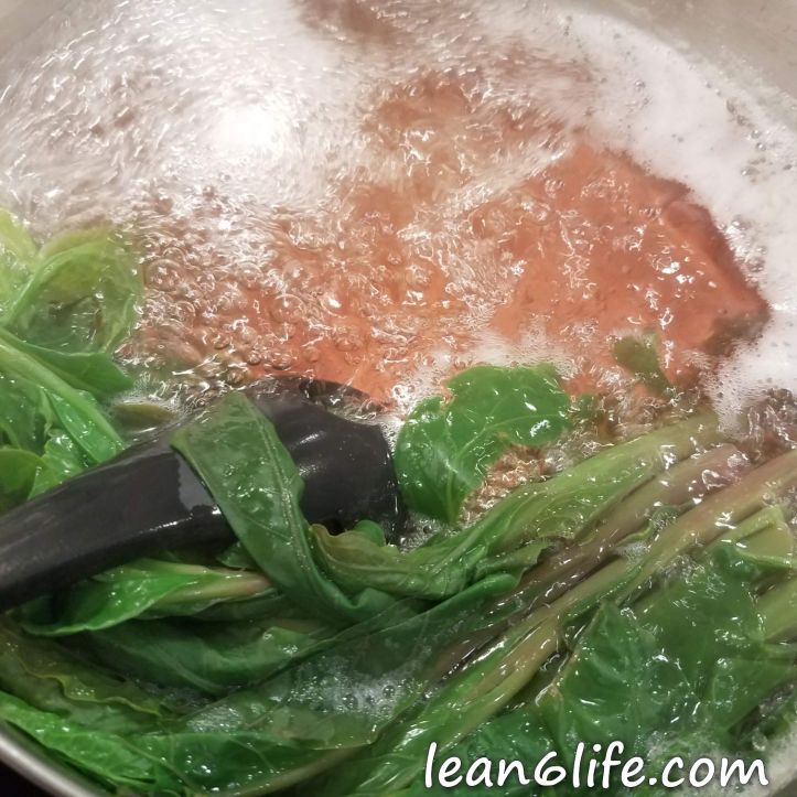 Pink Water from Boiling Pokeweed