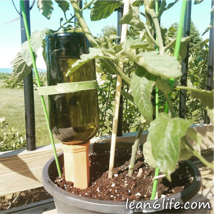 Plant nanny in action