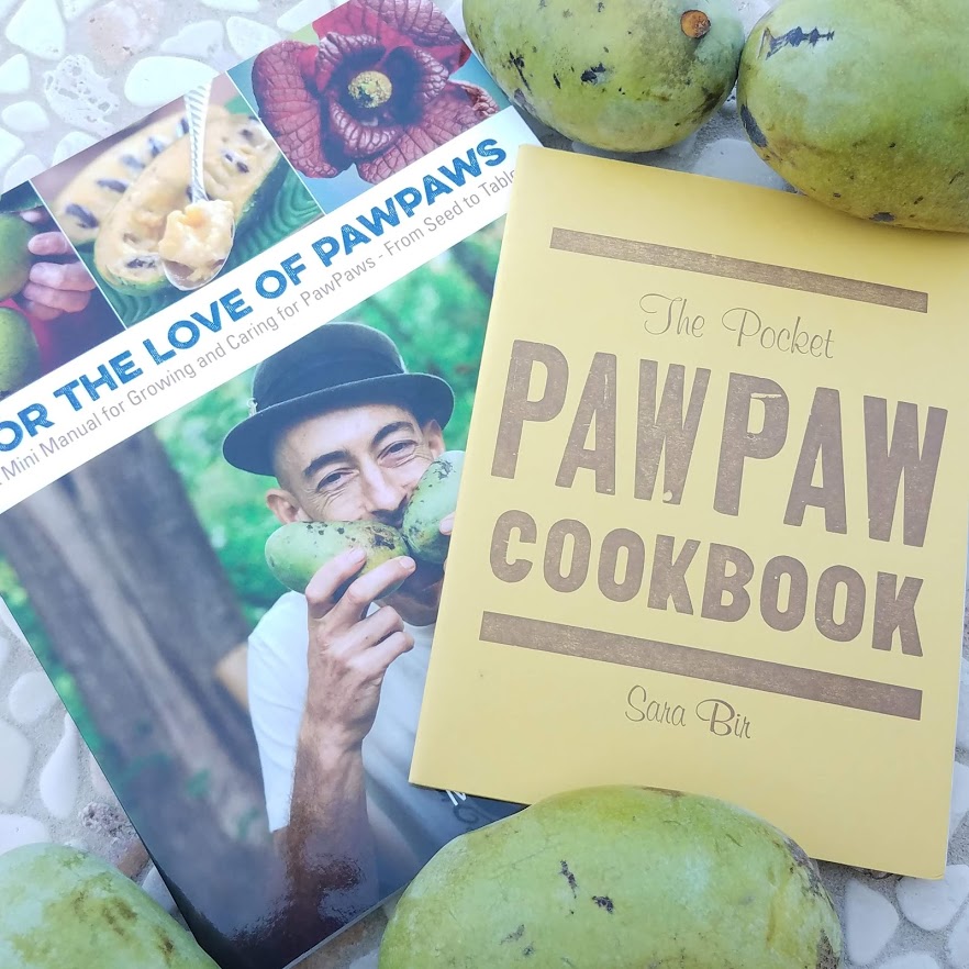 Yes, I splurged and bought books!