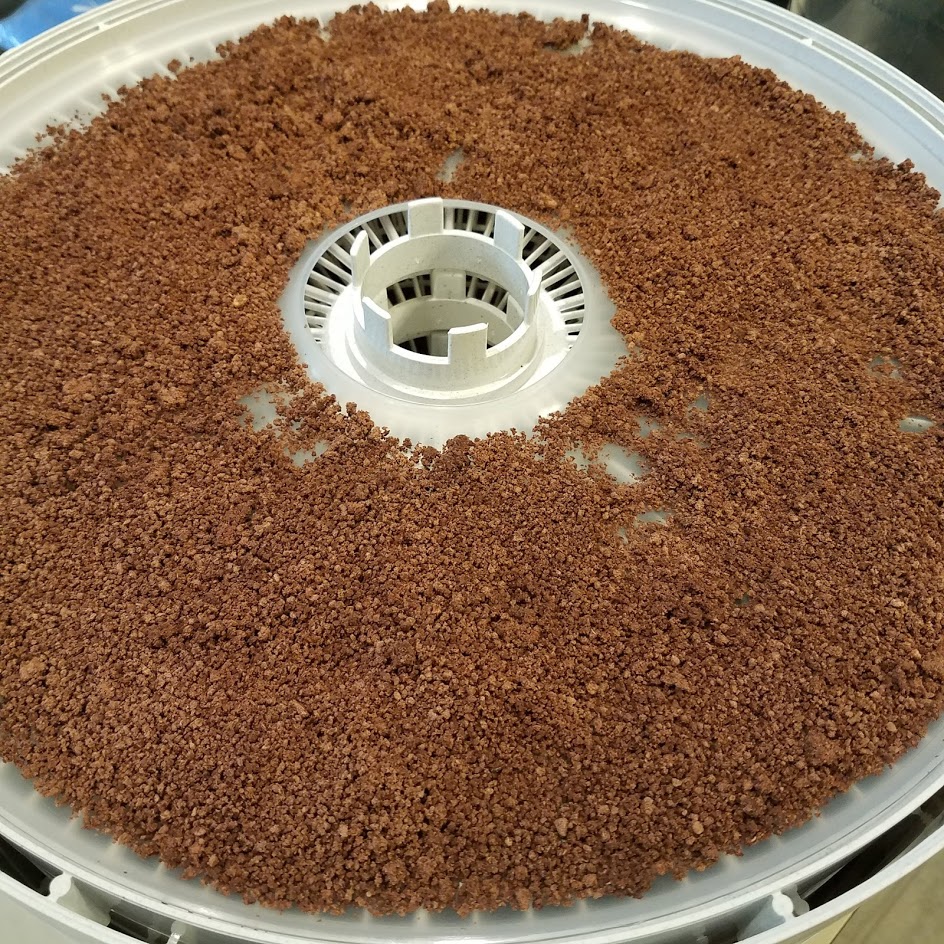 Drying out the leached acorn meal