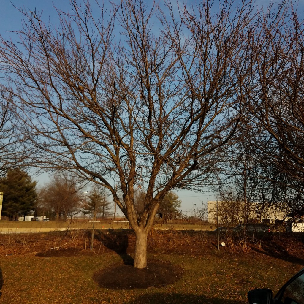 Vehicles hurtle by in the background
