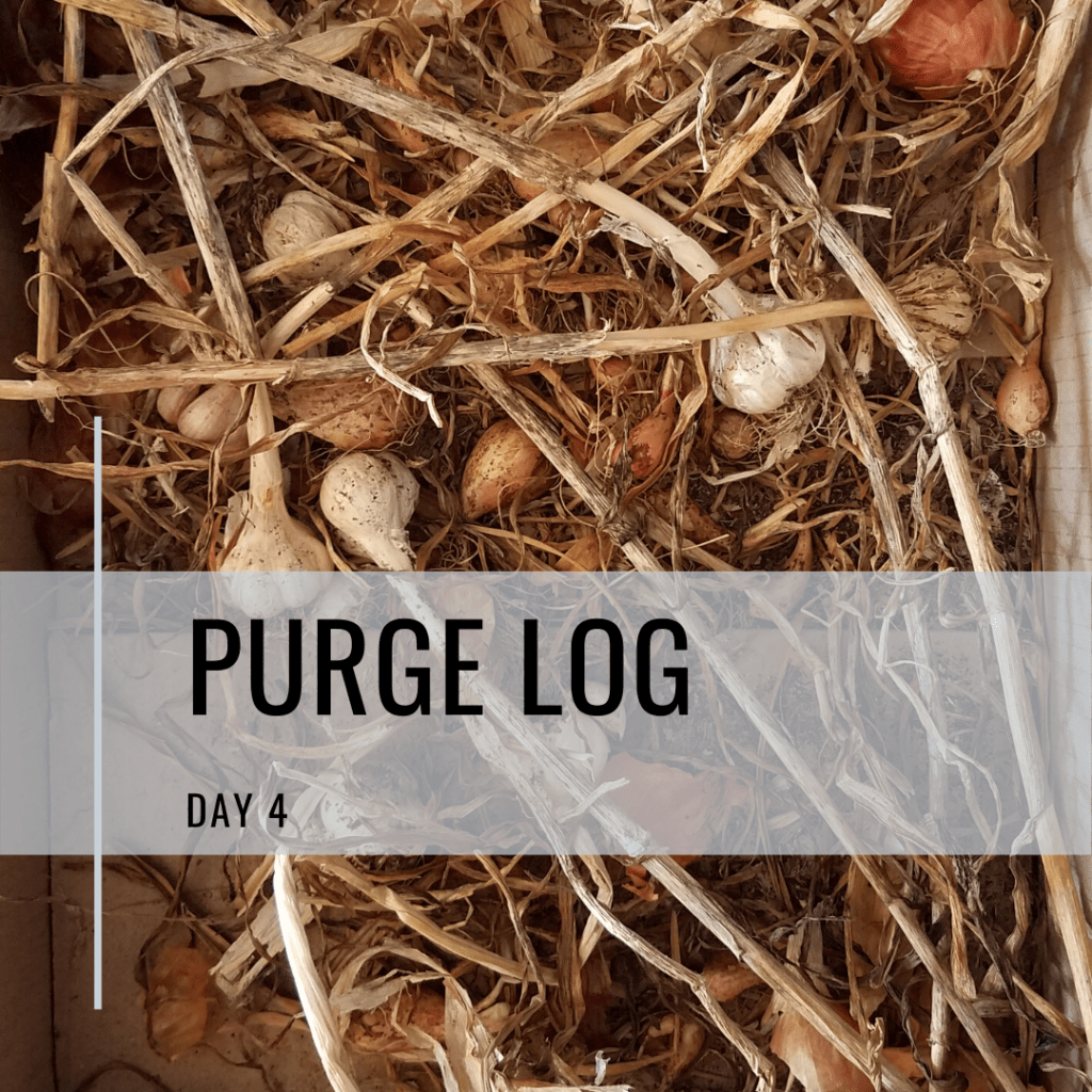 My failed attempt to store garlic and onions through the winter