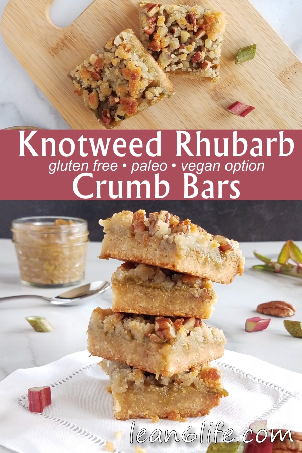 Knotweed Rhubarb Crumb Bars from Lean6Life.com - gluten free, paleo, and vegan-friendly!