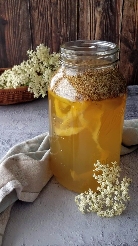 Fermented elderflower cordial in progress
