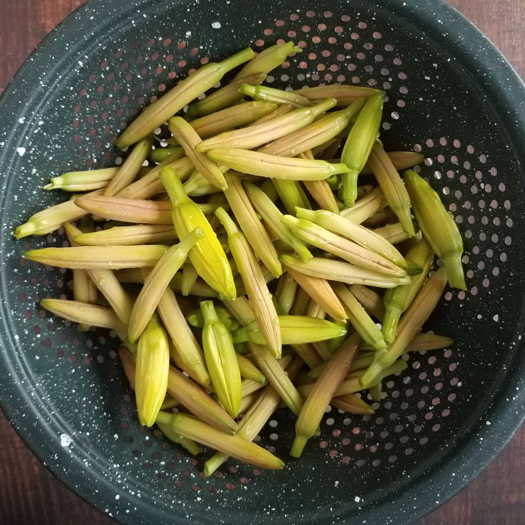 Washed buds, ready to cook