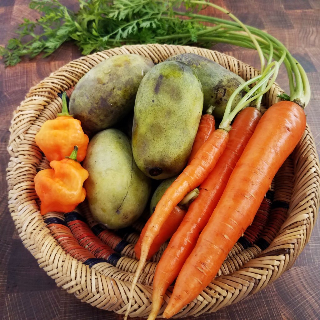 Ingredients for this week's recipe - carrots, habaneros and pawpaws from my hyperlocal foodshed