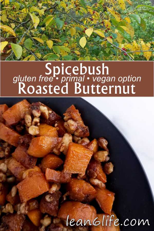 This spicebush roasted butternut squash recipe is a simple and tasty introduction to the flavor of spicebush berries. The recipe is gluten free, primal, and includes a vegan option.