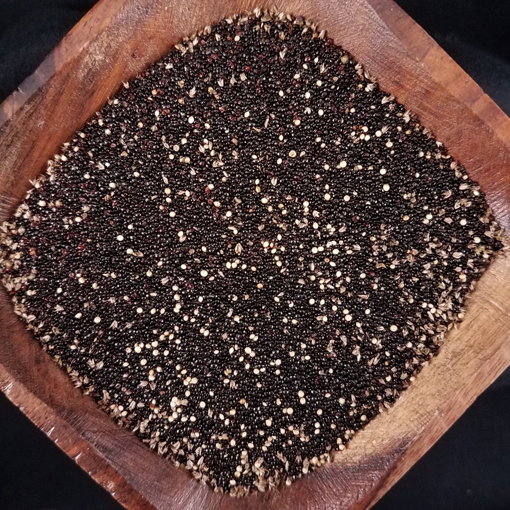 A mixture of wild and cultivated amaranth seed ... and chaff!