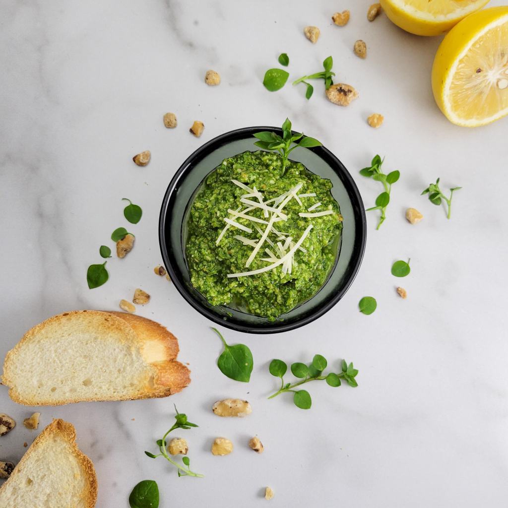 Chickweed pesto - perfect for late winter foraging!