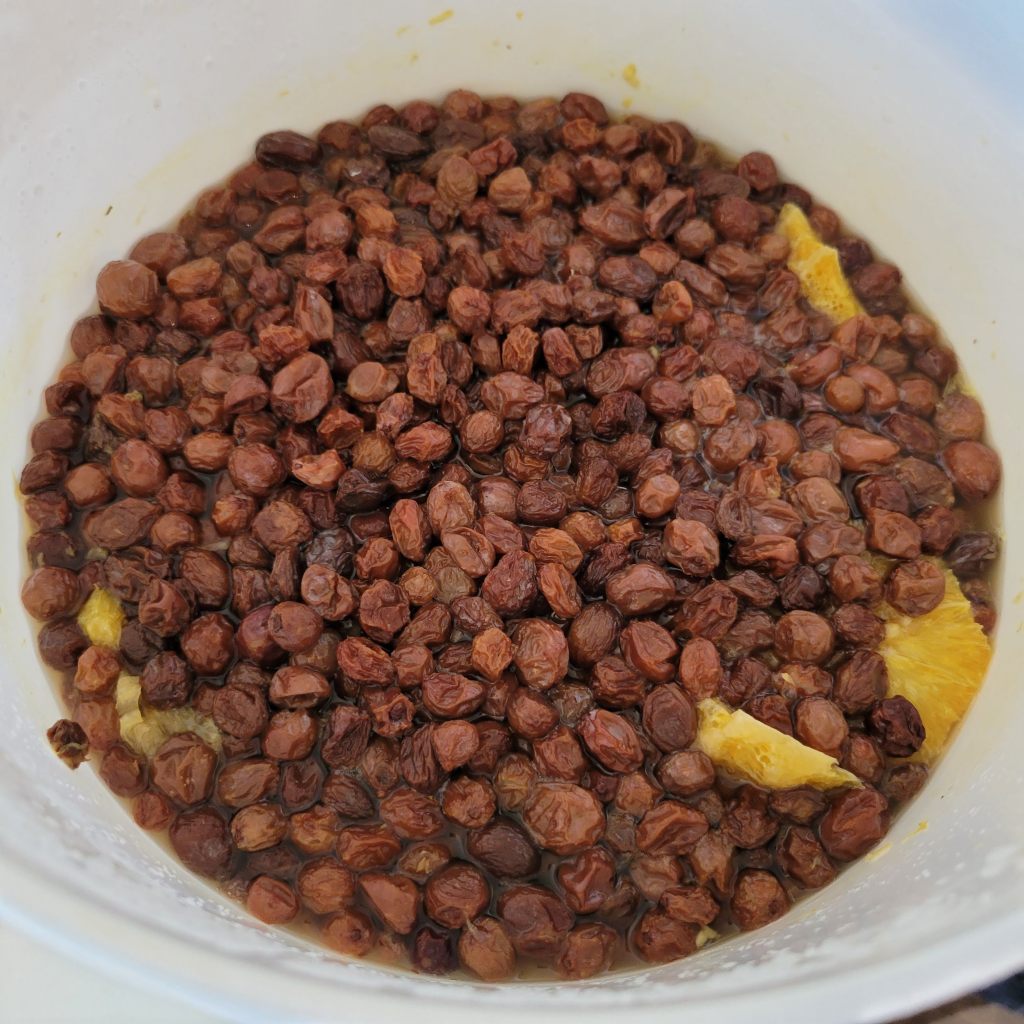 Dandelion wine still fermenting