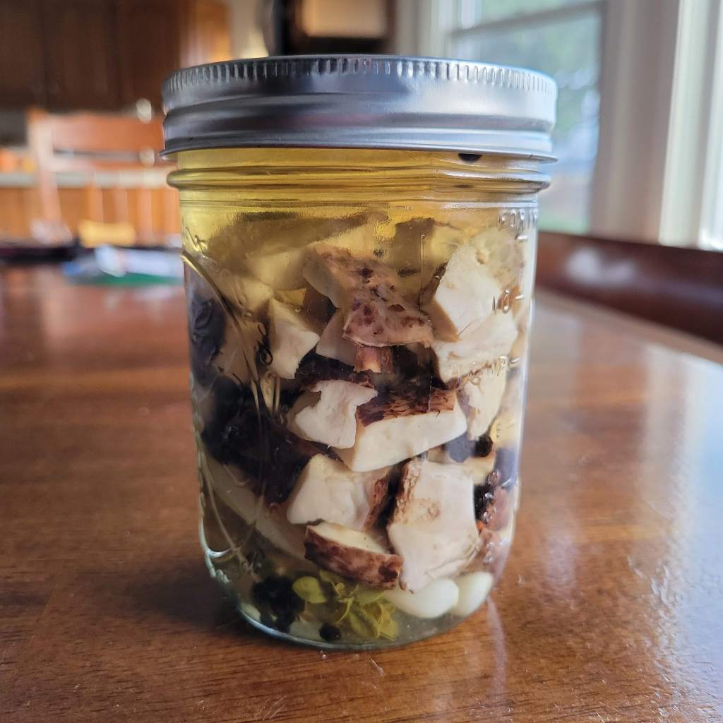 Pickled dryad's saddle