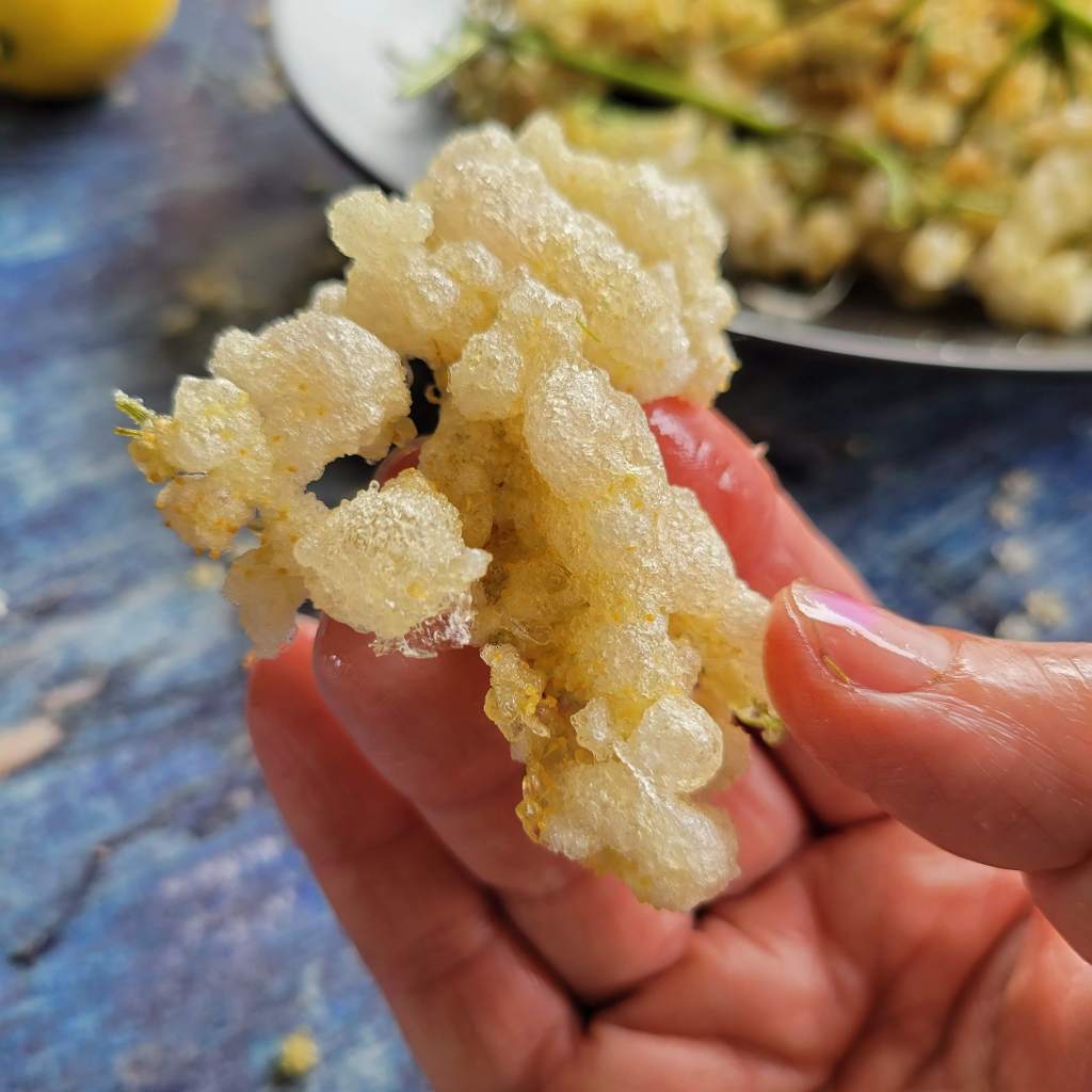 Crunchy elderflower fritters!