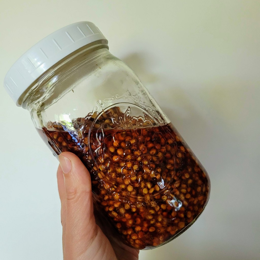 Sumac vodka underway