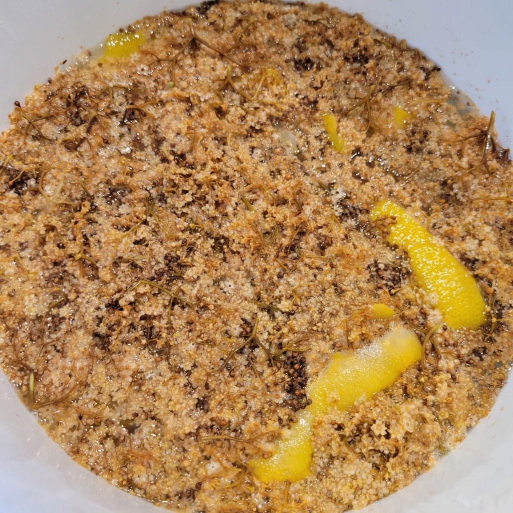 Finally - fermentation!