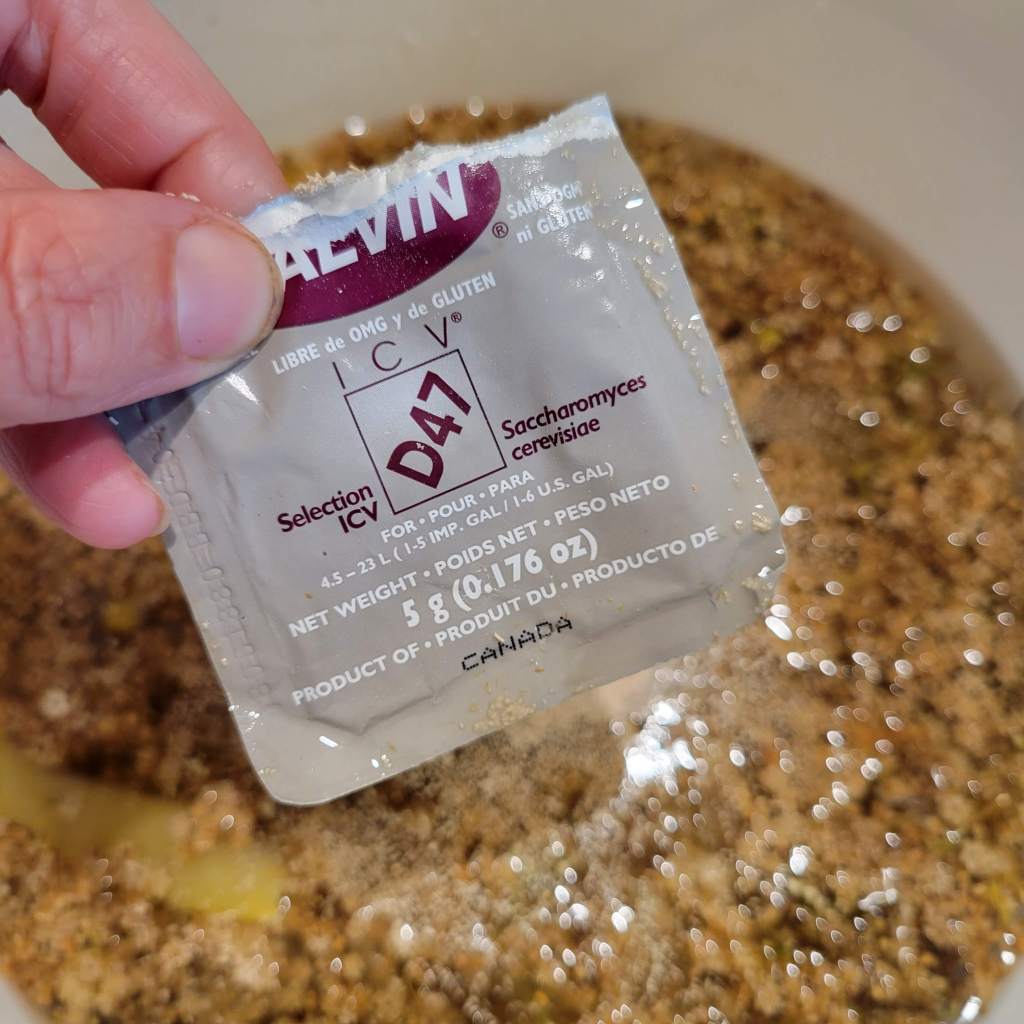 Adding wine yeast to the elderflower champagne
