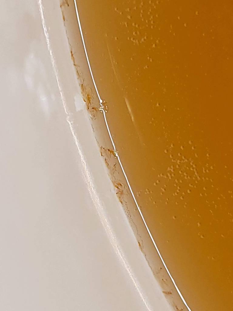 I bet those bugs died happy...