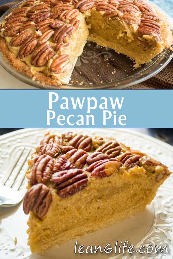 Pawpaw Pecan Pie - a chilled gluten-free treat for hot summer days