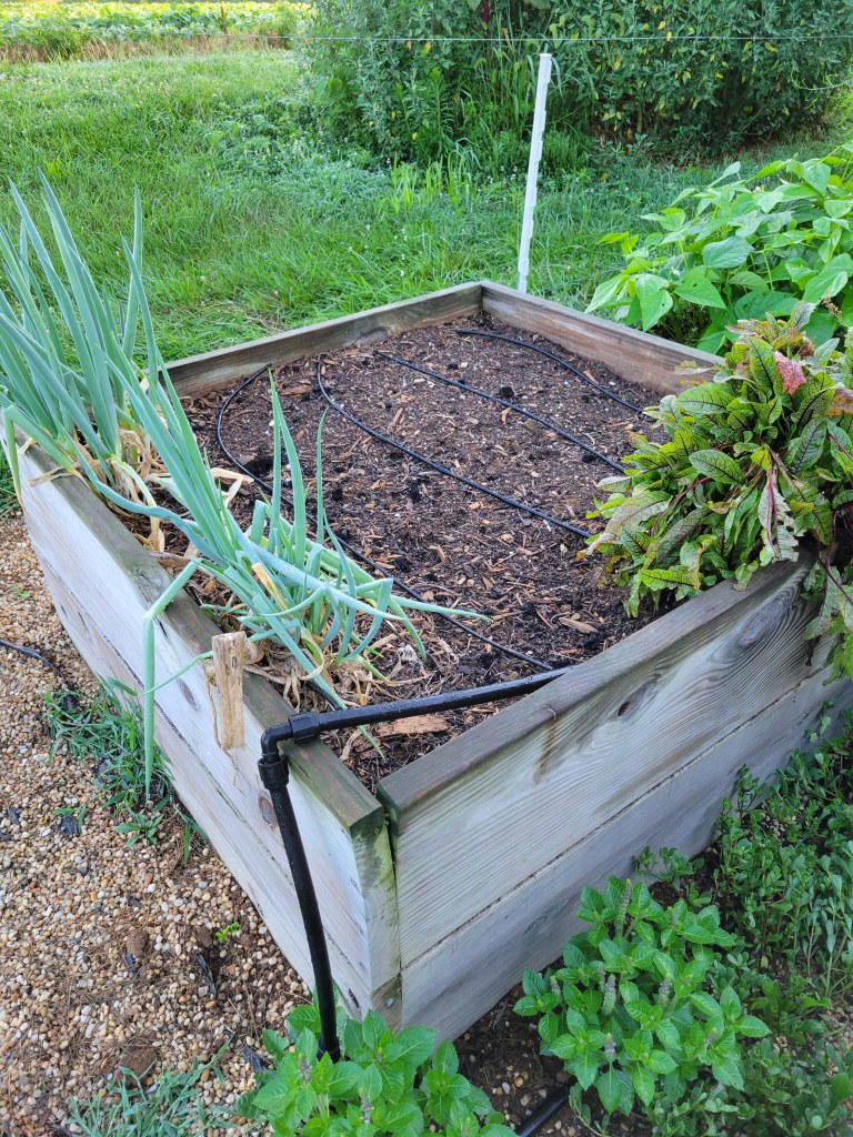 2022 Garden Bed C2